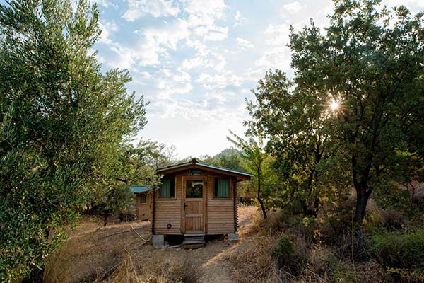 Harmonia ecstatic dance festival music hut