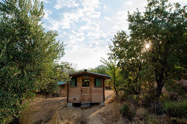 Harmonia Ecstatic Dance Festival Music Hut